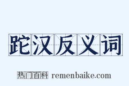 跎汉反义词是什么意思的图片